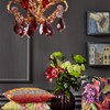 Apelt_Morena_Exotic_Mistral_2