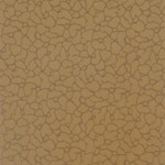 rf-ja-ella-0300